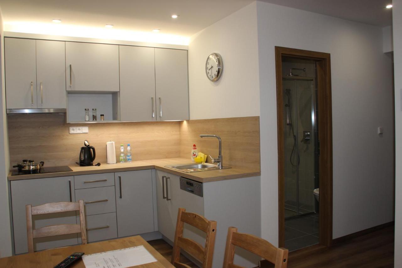 ANICO apartmány Dolni Benesov Exterior foto